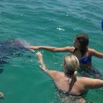 Victoria and Danielle's upclose dolphin encounter