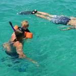 Snorkeling and making memories with the whole family
